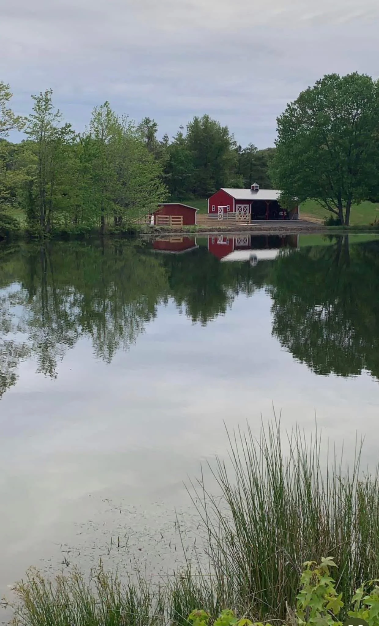 Scenic view of a tranquil pond surrounded by lush greenery, featuring a red barn and outbuildings reflecting in the water. The serene landscape captures the essence of rural life and natural beauty.