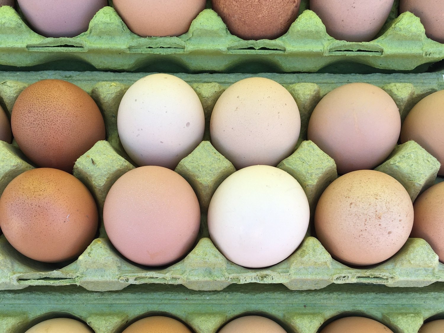 eggs_greencartons Carton of assorted eggs featuring various colors, including brown, white, and tan eggs, arranged neatly in a green egg carton.